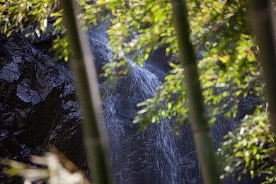 《生化危机4：重制版》艾达王DLC新预告 威斯克亮相